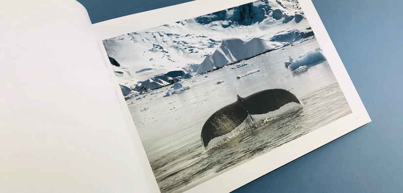 where-to-print-bespoke-photobook-edinburgh where-to-print-bespoke-photobook-edinburgh
